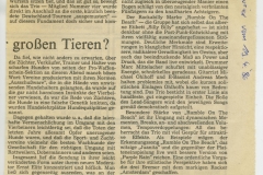 Presse – Rumble On The Beach Archiv - Weser Kurier - 1986